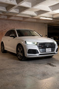 AUDI SQ5 19