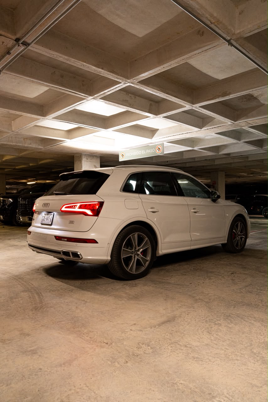 AUDI SQ5 19