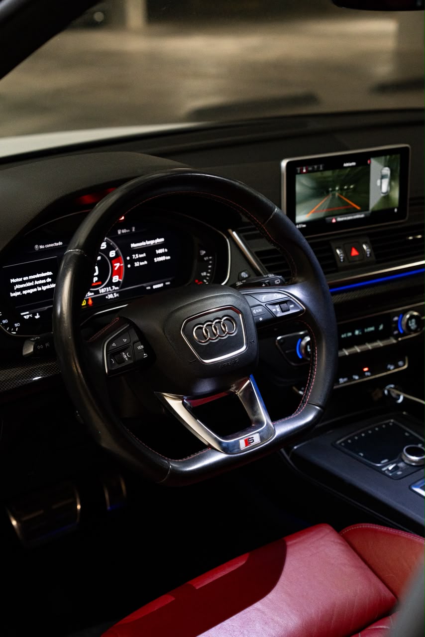 AUDI SQ5 19