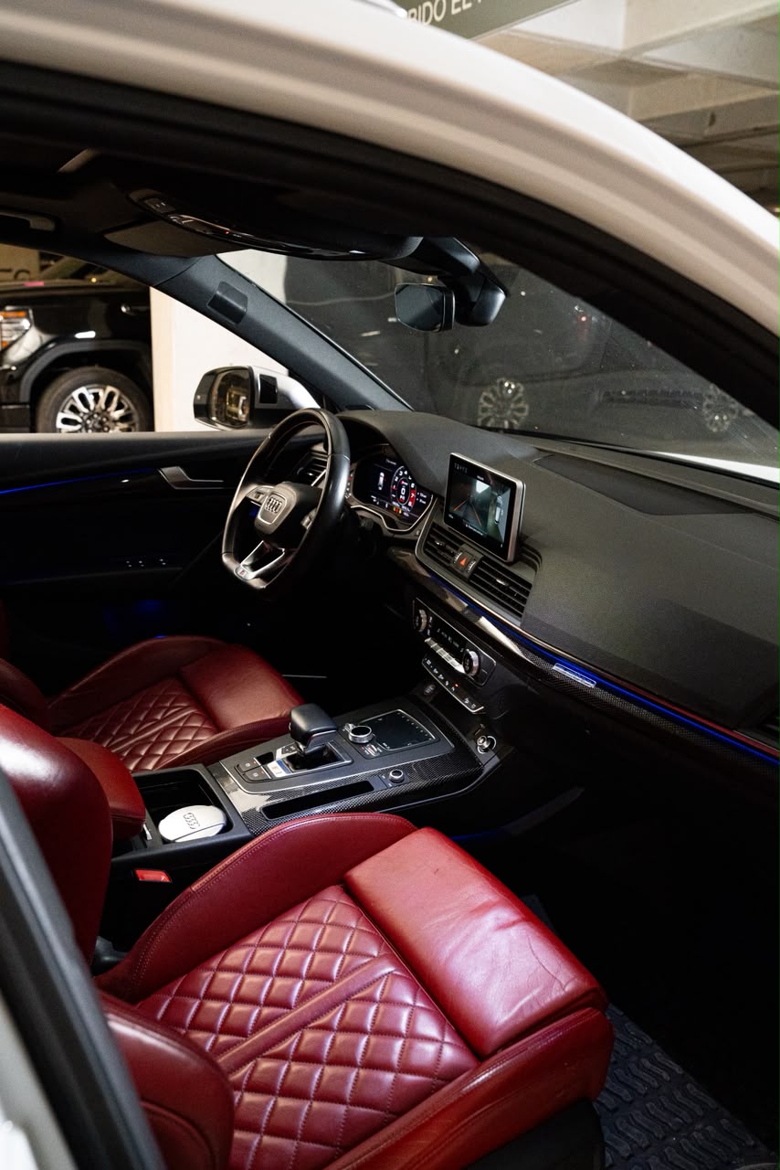 AUDI SQ5 19