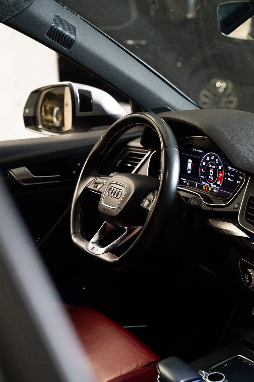 AUDI SQ5 19